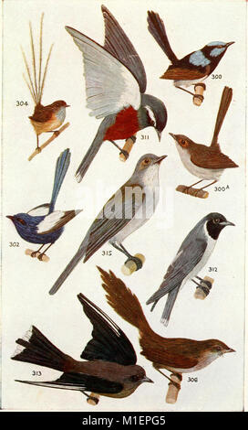 An Australian bird book - a pocket book for field use (1911) (20349910775) Stock Photo