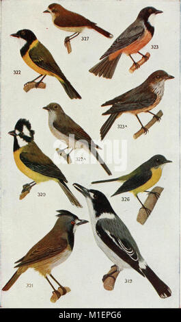 An Australian bird book - a pocket book for field use (1911) (20355988811) Stock Photo