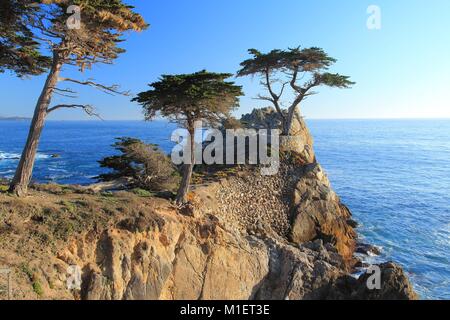 MONTEREY, CALIFORNIA - APRIL 7, 2014: Lone Cypress tree view along famous 17 Mile Drive in Monterey. Sources claim it is one of the most photographed  Stock Photo