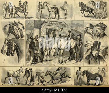 American Agriculturist, for the farm, garden and household (1868) (14590156567) American Agriculturist, for the farm, garden and household (1868) (14590156567)