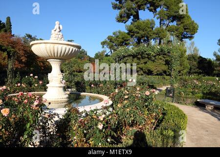 Madrid, capital city of Spain. Rose garden (rosarium) in Retiro Park. Stock Photo