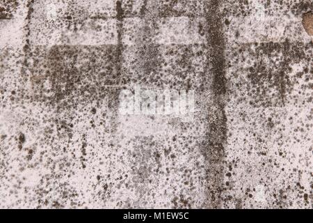Grungy wall background texture. Architecture detail abstract. Flat surface. Stock Photo