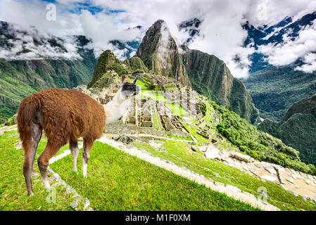 Machu Picchu, Cusco, Peru - Inca Empire city and Huaynapicchu Mountain, Sacred Valley. Amazing place of South America. Stock Photo