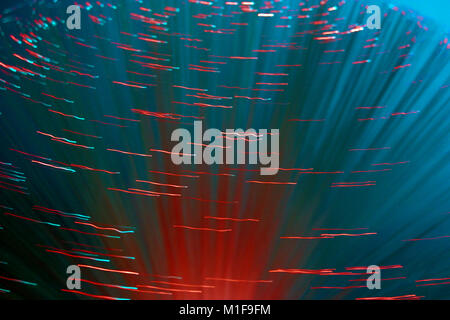 Fibre optic lamps, multi-coloured abstract on blue background Stock Photo