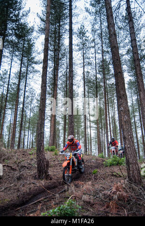 Moreton Forest, Moreton, Dorset, UK. 28th January, 2018. Trevor Greaves (179) and Terry Marsh (173) weave through tall pines in the forest during the  Stock Photo