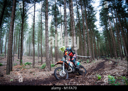 Moreton Forest, Moreton, Dorset, UK. 28th January, 2018. Sebastian Dexter (27) races through the forest during the Dorset Enduro Winter Warmer Series  Stock Photo