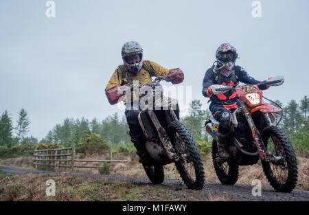 Moreton Forest, Moreton, Dorset, UK. 28th January, 2018. Michael Burgess (74) and another competitor race down a track section during the Dorset Endur Stock Photo