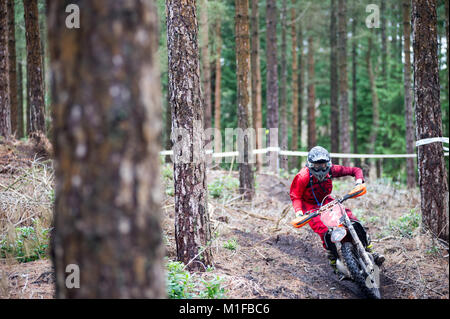 Moreton Forest, Moreton, Dorset, UK. 28th January, 2018. Dylan Baynton (2) weaves through the forest during the Dorset Enduro Winter Warmer Series Rou Stock Photo