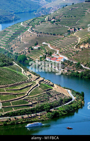 River cruise to the Alto Douro Wine Region (with Quinta de la Rosa vineyard i the background), Pinhão, Portugal, Europe Stock Photo