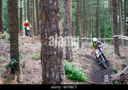 Moreton Forest, Moreton, Dorset, UK. 28th January, 2018. Richard Tucker (6) and Bradley King (1) race through the forest during the Dorset Enduro Wint Stock Photo