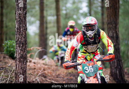 Moreton Forest, Moreton, Dorset, UK. 28th January, 2018. Tom Bartlett (36) races through the forest during the Dorset Enduro Winter Warmer Series Roun Stock Photo