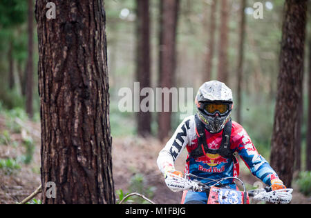 Moreton Forest, Moreton, Dorset, UK. 28th January, 2018. Matthew Hubbard (113) weaves between the trees during the Dorset Enduro Winter Warmer Series  Stock Photo