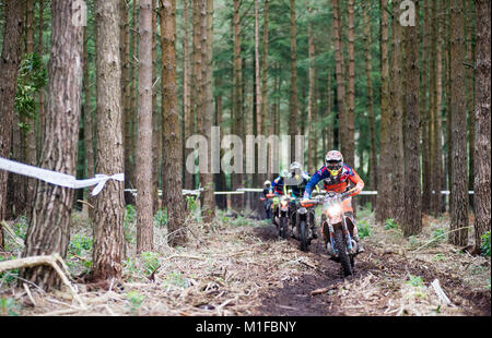 Moreton Forest, Moreton, Dorset, UK. 28th January, 2018. Competitors race through an avenue of trees during the Dorset Enduro Winter Warmer Series Rou Stock Photo