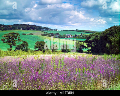 A summer view of the hilly Cheshire countryside, England, UK Stock Photo