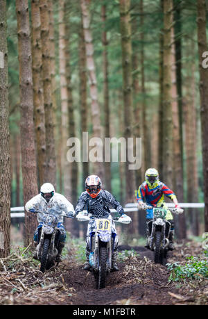 Moreton Forest, Moreton, Dorset, UK. 28th January, 2018. Sophie Thomas (80) leads two other riders through the forest during the Dorset Enduro Winter  Stock Photo