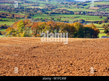 An autumn view of farmland in Gloucestershire, England, UK Stock Photo