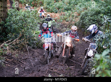 Moreton Forest, Moreton, Dorset, UK. 28th January, 2018.  Exhausted racers, including Andrew Patterson (187) and  Gareth Lloyd (103) struggle past tre Stock Photo