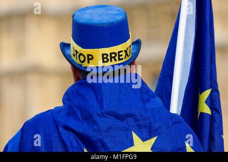 Anti-Brexit protester demonstrates outside the Houses of Parliament in London, England, United Kingdom, UK Stock Photo