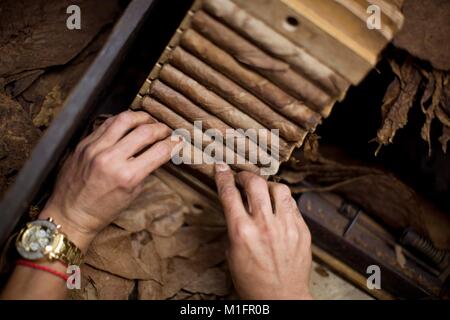 Miami, Florida, USA. 14th Jan, 2014. Cigars hand rolled at the El Credito Cigar factory in the Cuba influenced community of Little Havana. Little Havana (La Pequena Habana) is a neighborhood within the City of Miami. Home to many Cuban immigrant residents. Little Havana is noted as a center of social, cultural, and political activity in Miami, known for its landmarks, including Calle Ocho it is undoubtedly the best known neighborhood for Cuban exiles in the world, and as the cultural and political capital of Cuban Americans. Characterized by a robust street life, excellent restaurants, cultu Stock Photo