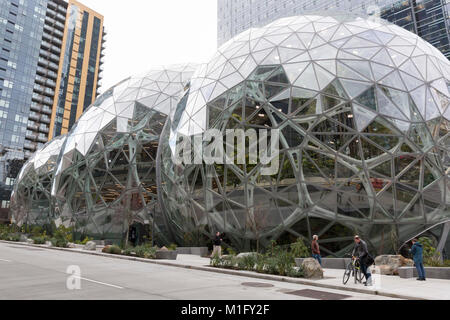 Seattle, USA. 30th Jan, 2018. The Spheres Discovery at Understory exhibit at the Amazon Spheres opened to the public on Tuesday. The innovative, geodesic structures at the foot of Amazon’s Day 1 building house five stories of office space, retail and a botanical garden. The Understory welcomes visitors with interactive exhibits about the building’s flora and design. Stock Photo