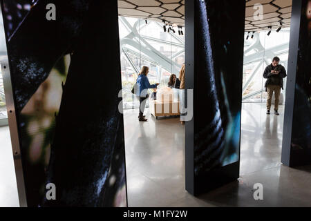 Seattle, USA. 30th Jan, 2018. The Spheres Discovery at Understory exhibit at the Amazon Spheres opened to the public on Tuesday. The innovative, geodesic structures at the foot of Amazon’s Day 1 building house five stories of office space, retail and a botanical garden. The Understory welcomes visitors with interactive exhibits about the building’s flora and design. Stock Photo