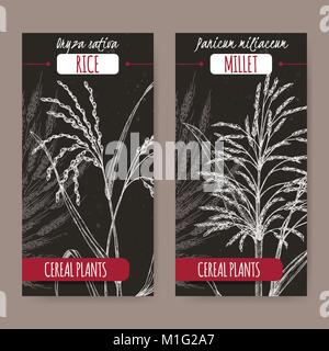 Set of two black labels with Asian rice aka Oryza sativa and Proso millet aka Panicum miliaceum sketch. Stock Vector