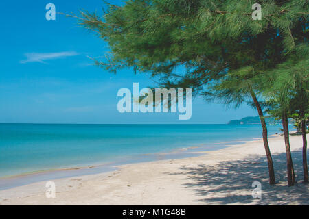 Green pine trees on sand beach with beautiful seascape view and blue sky in the background at Chao Lao Beach, Chanthaburi Province, Thailand. Stock Photo