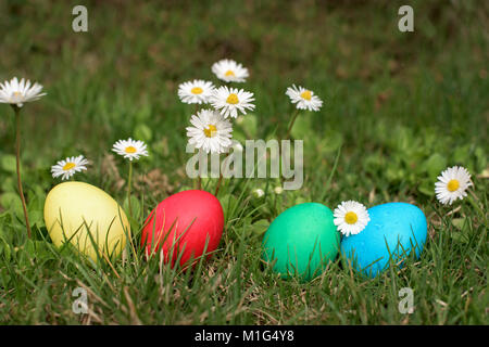 Four different color easter eggs in a row on the grass Stock Photo