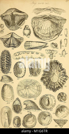 This 1842 manual provides a comprehensive guide to conchology, the ...