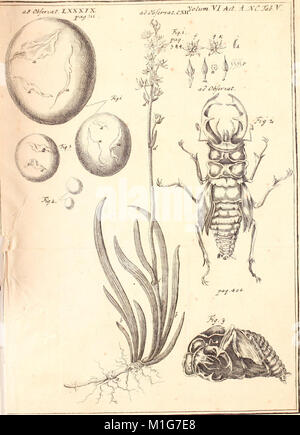Acta physico-medica Academia Caesareae Leopoldino-Carolinae Naturae Curiosorum (1742) (14596390417) Stock Photo