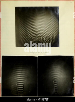 A study of the propagation, refraction, reflection, interference and ...
