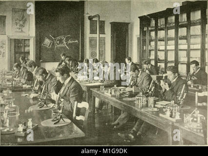 Actes du IIIme Congres international de botanique - Bruxelles 1910 ((1910)-(1912)) (16565218607) Stock Photo