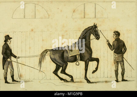 An analysis of horsemanship - teaching the whole art of riding, in the manege, military, hunting, racing, and travelling system - together with the method of breaking horses, for every purpose to (18165467302) Stock Photo
