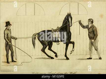 An analysis of horsemanship - teaching the whole art of riding, in the manege, military, hunting, racing, and travelling system - together with the method of breaking horses, for every purpose to (18170185341) Stock Photo