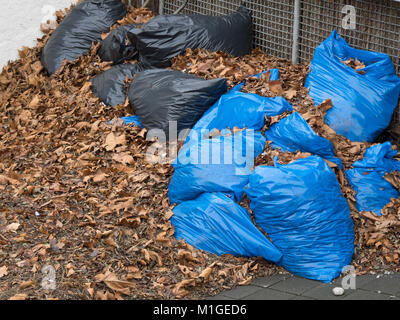 Black and blue garbage bags in under brown leafs Stock Photo
