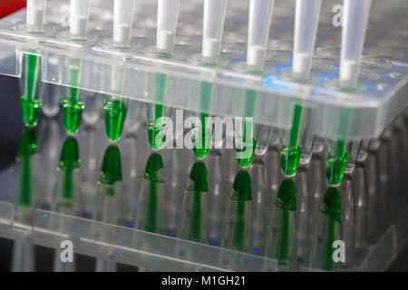 electrophoresis device in a genetics lab to decrypt the genetic code Stock Photo