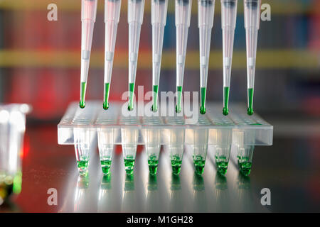 electrophoresis device in a genetics lab to decrypt the genetic code Stock Photo