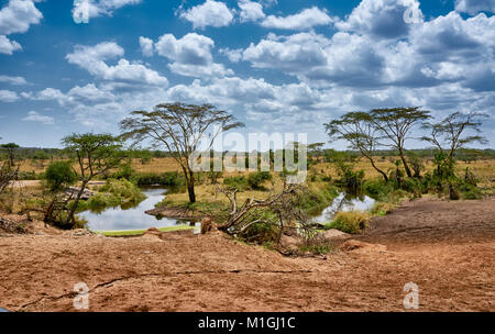 landscape in Serengeti National Park, UNESCO world heritage site, Tanzania, Africa Stock Photo