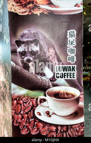 Sign for Luwak coffee or Civet Coffee, the most expensive coffee in the world , Kota Kinabalu, Sabah, Borneo, Malaysia Stock Photo