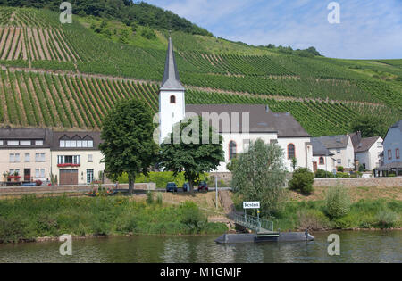 The wine village Kesten, Moselle river, Rhineland-Palatinate, Germany, Europe Stock Photo