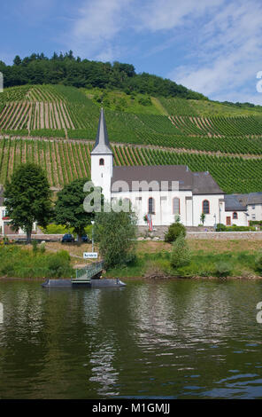 The wine village Kesten, Moselle river, Rhineland-Palatinate, Germany, Europe Stock Photo