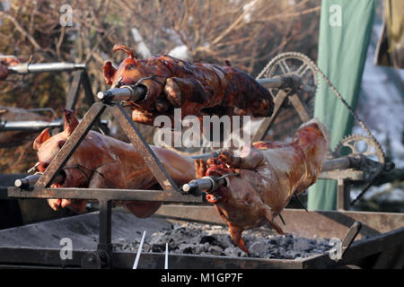 Young pigs roasted on a fire. Piglets grilling on a fire outside. Whole pigs baked outdoor. Cheverme. Pig on a skewer. Roasted pork. Roasted meat. Stock Photo