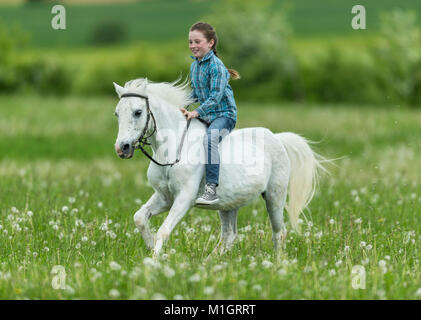 Pony. Girl bareback on gray horse, galloping on a meadow. Germany.. Stock Photo