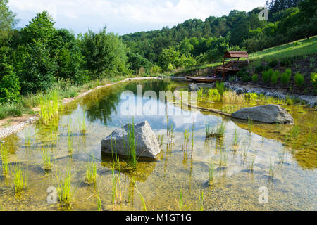 Plants used at natural swimming pond for purifying water Stock Photo