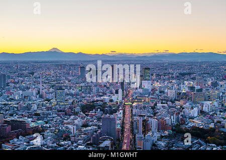 Aerial Cityscape View Tokyo Japan Stock Photo