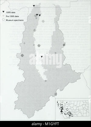 Bitterroot Ecosystem The 1995 Amphibian and Reptile Survey of the Bitterroot National Forest ...