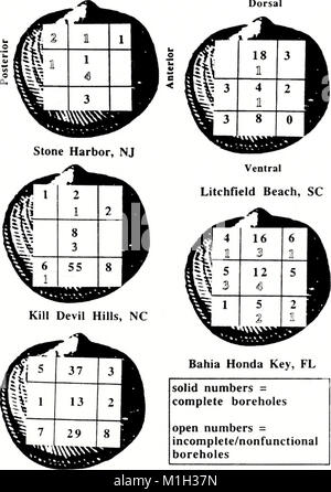 The 2001 issue of the American Malacological Bulletin, focused on the ...