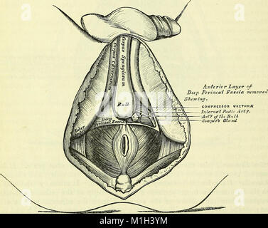 This 1860 work on anatomy provides detailed descriptions of human ...