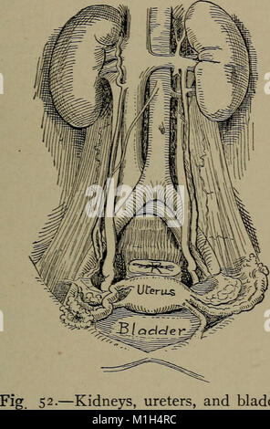 A reference hand-book of gynecology for nurses (1913) (14773839734) Stock Photo