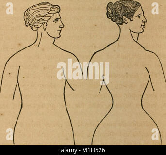A treatise on anatomy, physiology and hygiene - designed for colleges, academies and families (1850) (14761778866) Stock Photo